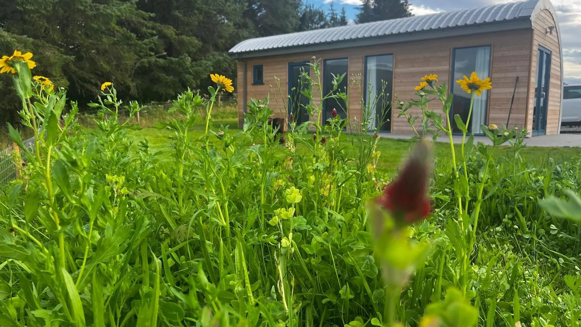 6 Family-Friendly Hotels in Argyll and Bute Worth Booking