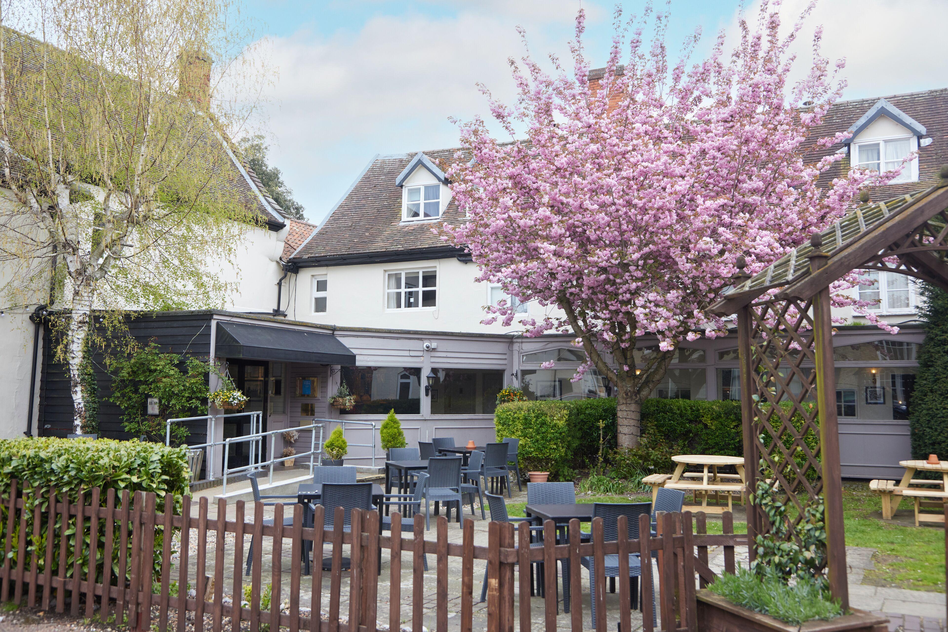 11 Best Budget Hotels in Norfolk You Should Actually Book